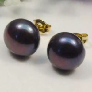 14K Gold Black Natural South Sea Pearl Stud Earrings